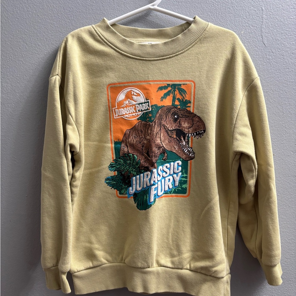 H&M Green Sweatshirt with Jurassic Park Design